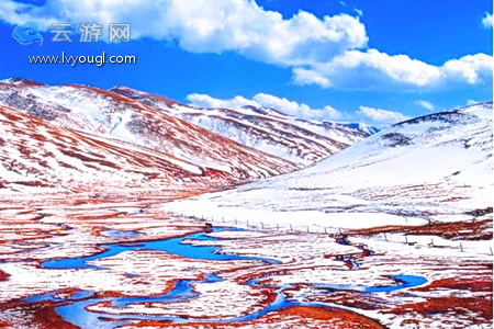 会泽大海草山的雪(图片来源：太平洋电脑网 作者：行者)