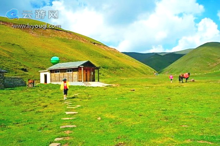曲靖会泽大海草山