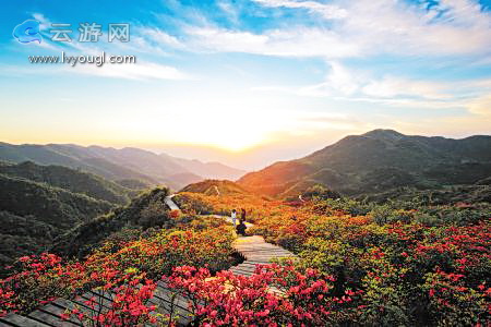 大围山森林公园