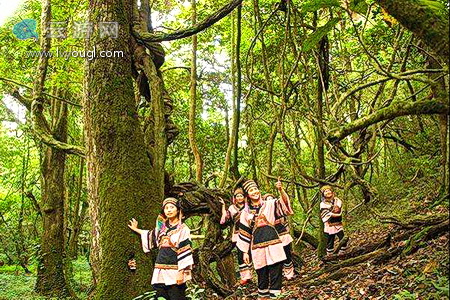 玉溪磨盘山国家森林公园
