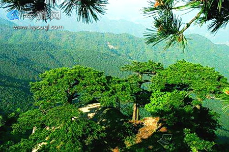 妙道山