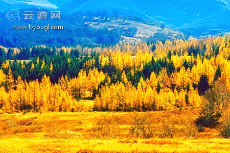 克什克腾景点之黄岗梁
