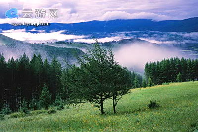 兴安盟阿尔山国家森林公园