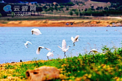 驻马店泌阳铜山风景区铜山风景区