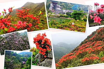 云浮天露山景区自驾游攻略