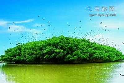 江门小鸟天堂