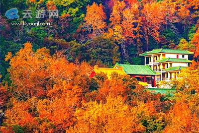 江门圭峰山风景名胜区