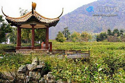 顾渚山金沙泉