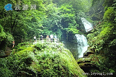 雅安碧峰峡