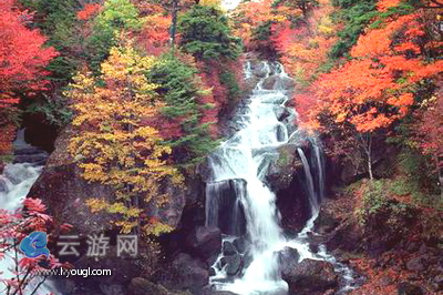 甘山森林公园