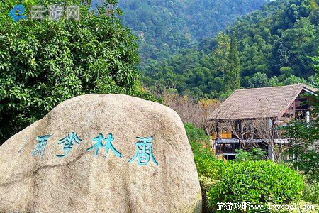 柯岩香林