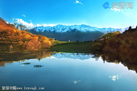 甘南舟曲拉尕山景区