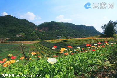 泸州花田酒地漂流