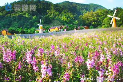 德庆花世界温矿泉度假村