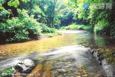鹤壁黄庙沟森林公园(鹤山区)