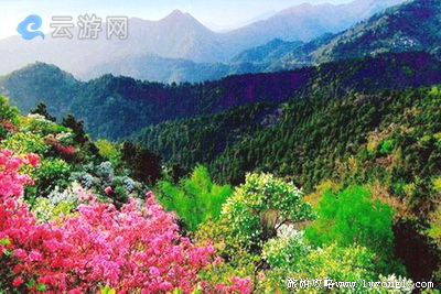 武汉黄陂木兰云雾山