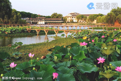 洪湖生态旅游风景区