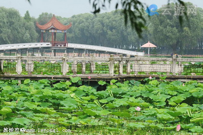 洪湖生态旅游风景区