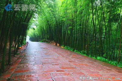 三峡竹海景区