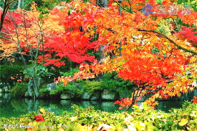 英山桃花冲景区