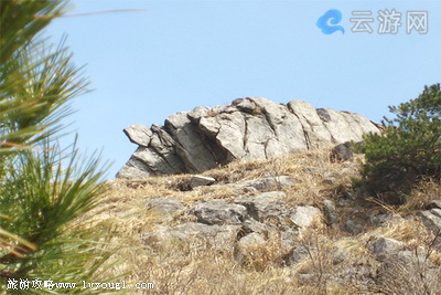 大别山大别神龟