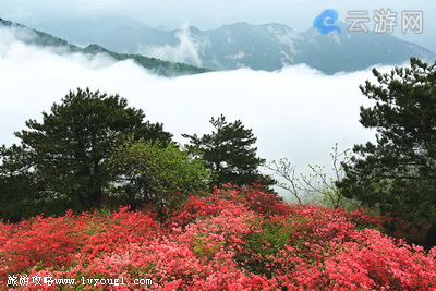 麻城龟峰山风景区