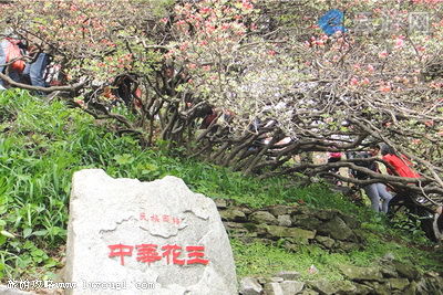 麻城龟峰山风景区