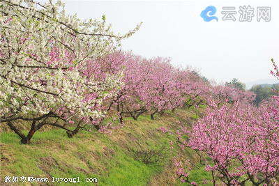 英山桃花冲景区