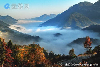 十堰牛头山森林公园