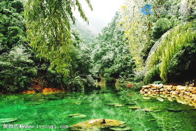 十堰牛头山森林公园