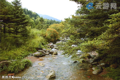 神农顶风景区