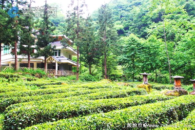 神农架官门山景区