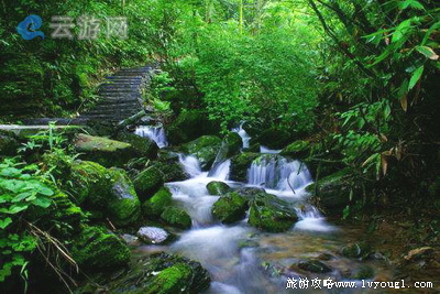 咸丰坪坝营旅游区