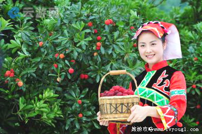 来凤杨梅古寨