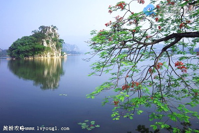 肇庆星湖湿地公园