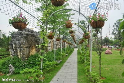 广州石头记矿物园