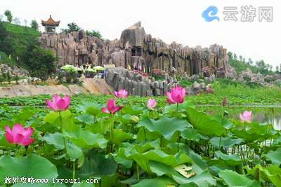 濮阳中原绿色庄园(4A级景区)