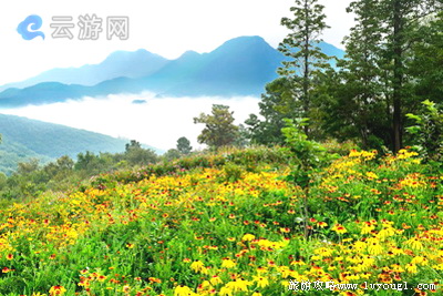 黛眉山高山花园