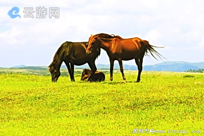 贵州龙里大草原鹿园度假村