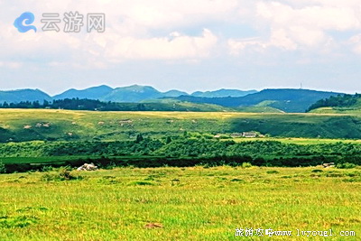 贵州龙里大草原鹿园度假村