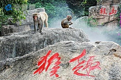 海南陵水南湾猴岛