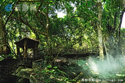 呀诺达热带雨林景区