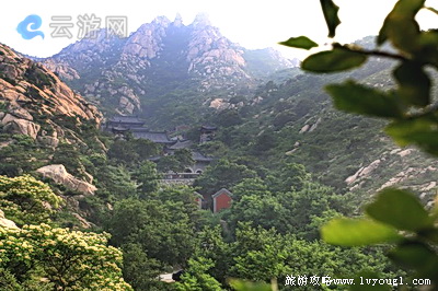 青岛茶山景区