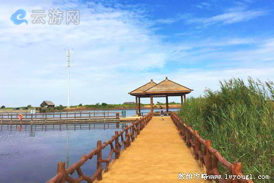 东营垦利黄河口生态旅游区(4A级景区)