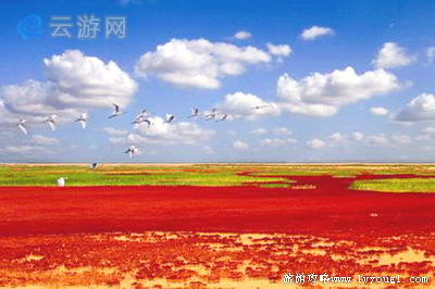 东营垦利黄河口生态旅游区(4A级景区)