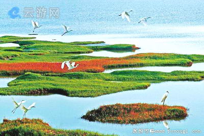 东营垦利黄河口生态旅游区(4A级景区)