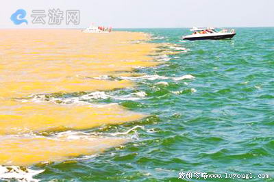 东营垦利黄河口生态旅游区(4A级景区)