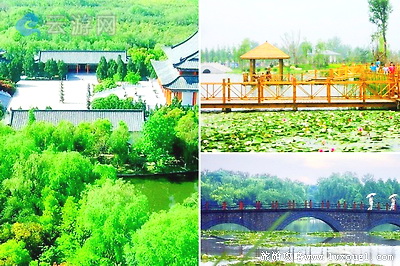 八里河农业生态景观