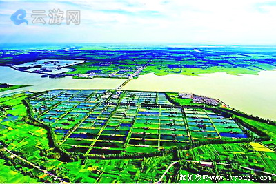 八里河农业生态景观