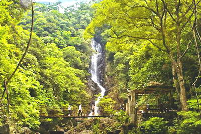 福州三叠井森林公园
